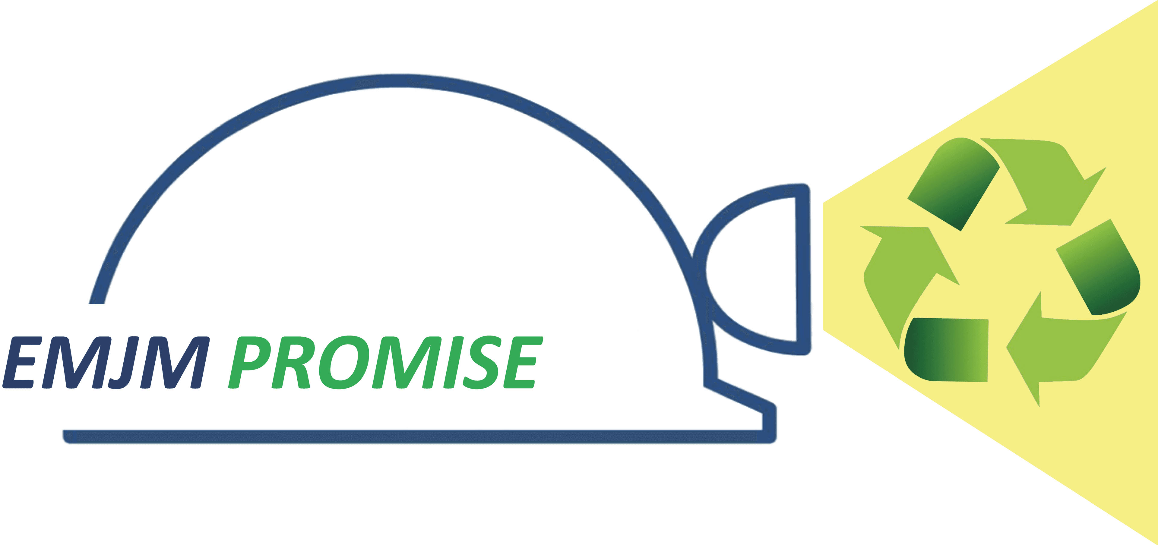 PROMISE logo